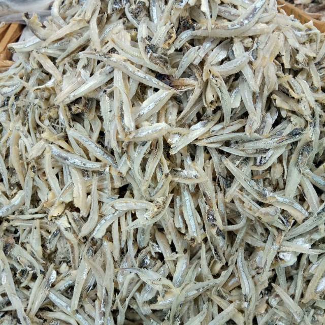 

Teri jengki