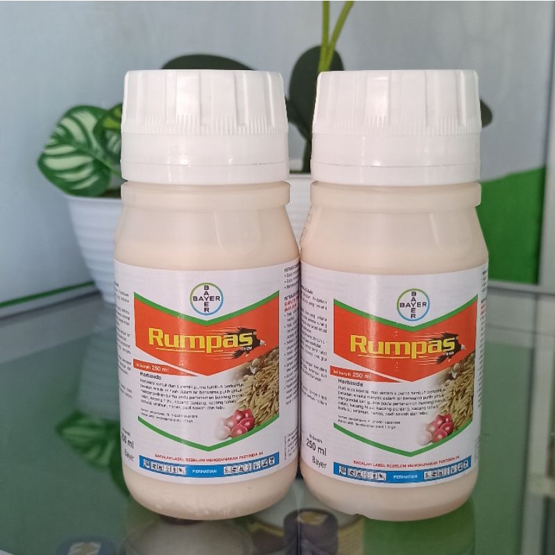 Herbisida rumpas Rumpas kacang tanah jagung padi