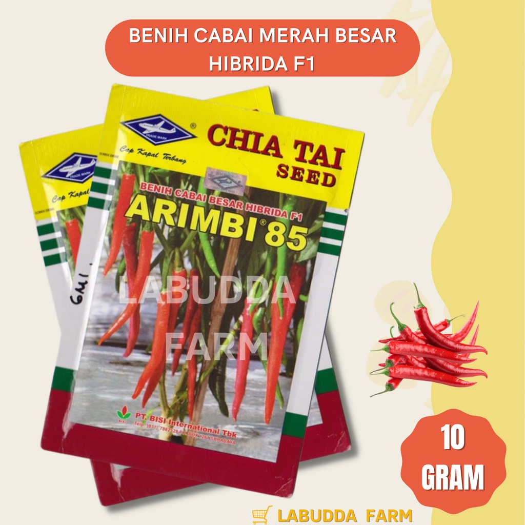 Bibit Cabe Merah Besar - Benih Cabe Besar - Bibit Cabe Merah - Bibit Cabe Siap Tanam - Bibit Cabai B