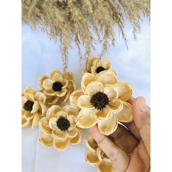 Bunga klobot teratai mawar rustic