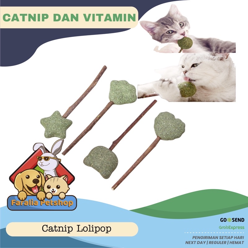 Catnip Lolipop Stik Bola Snack Kucing Mainan Pembersih Gigi Lollipop Loli Lolli Pop Cat Nip Mint