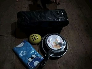 Tempat Odol Sikat Gigi Ladybug/holder Kumbang