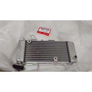 Radiator CB150R Lama Original Honda