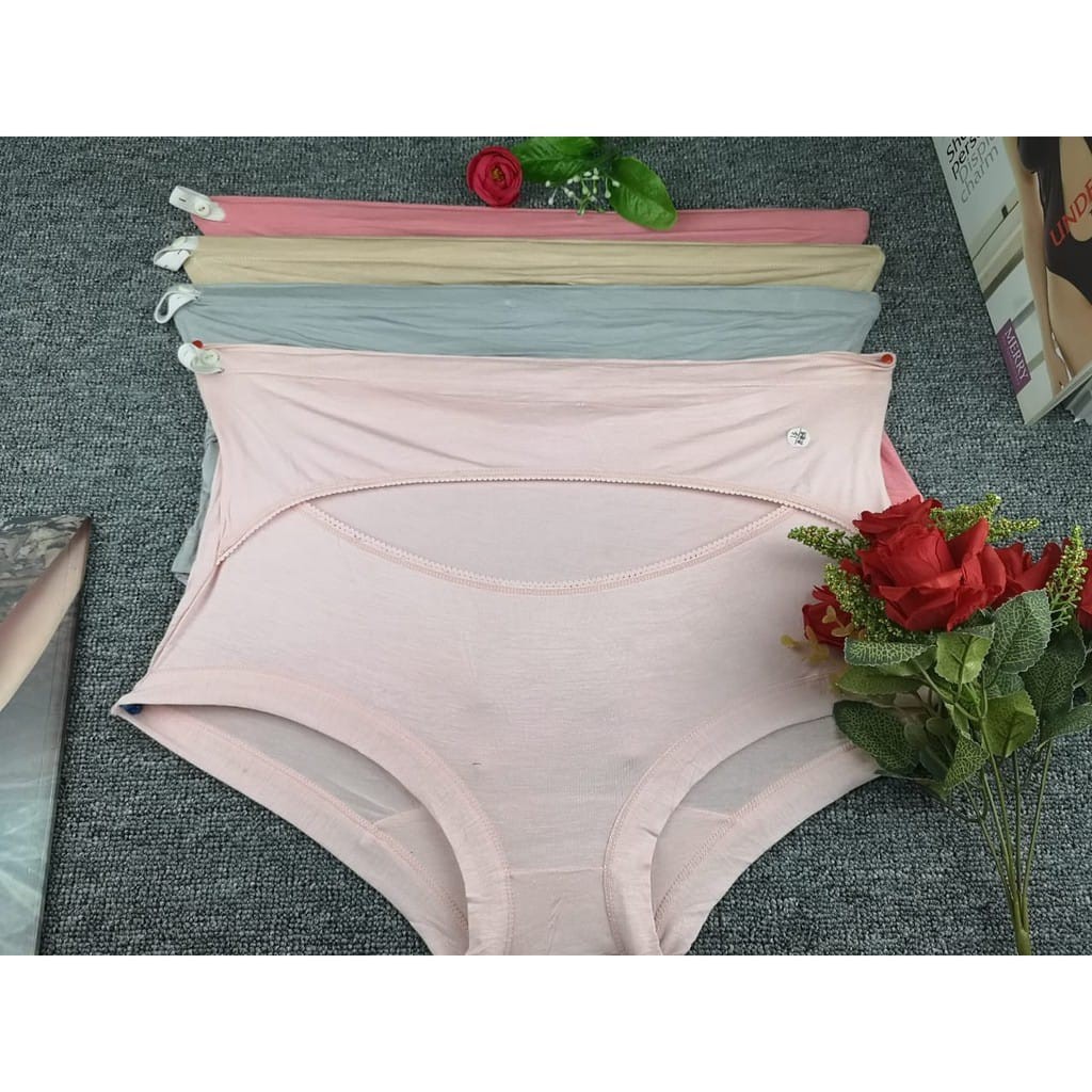 Celana Dalam Wanita Hamil / CD Maternity Under Pants Import Seri 8959
