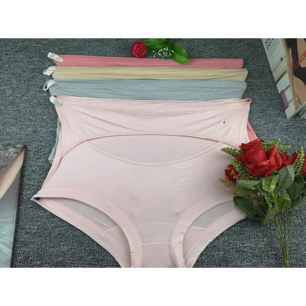 Celana Dalam Wanita Hamil / CD Maternity Under Pants Import Seri 8959