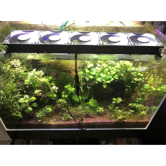 Kipas Pendingin Aquascape Aquarium 5 Fan Shopee Indonesia