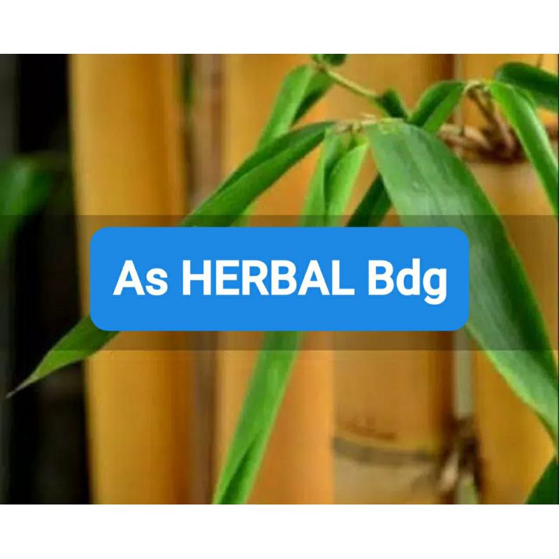 

Daun Bambu Kuning Segar Per 100 lembar-az