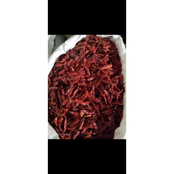 

cabe rawit kering tanpa tangkai