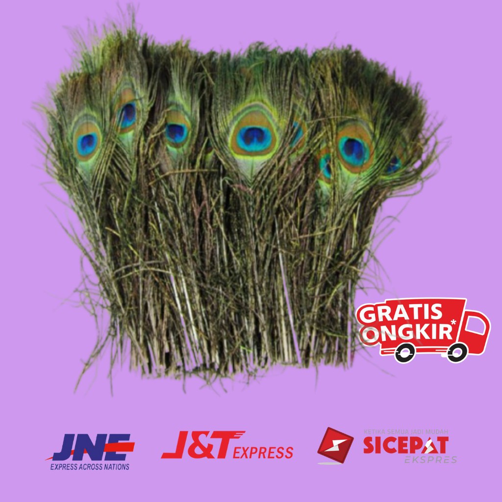 BULU DEKORASI / REPLIKA BULU MERAK / BULU TOPI