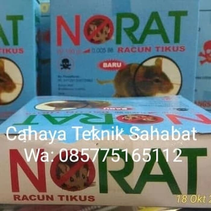 Norat Racun Tikus