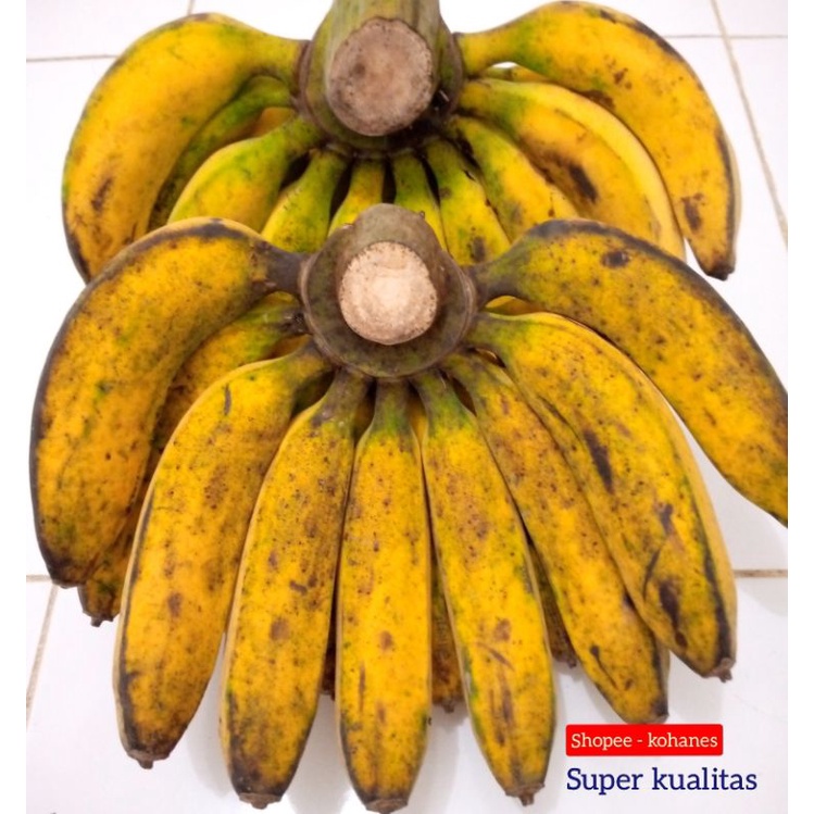 Pisang raja