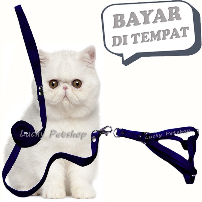 Harness Y Tali Penuntun Kucing Musang Tali Tuntun Hewan