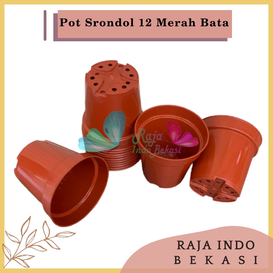 Pot Tinggi Srondol 12 Merah BataTerracota Terracotta Merah Coklat - Pot Tinggi Usa Eiffel Effiel 18 20 25 Lusinan Pot Tinggi Tirus 15 18 20 30 35 40 50 Cm Paket murah isi 1 lusin pot bunga plastik lusinan pot tanaman Pot Bibit Besar Mini Kecil Pot Srondol