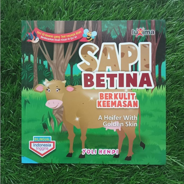 Sapi Betina Berkulit Keemasan
