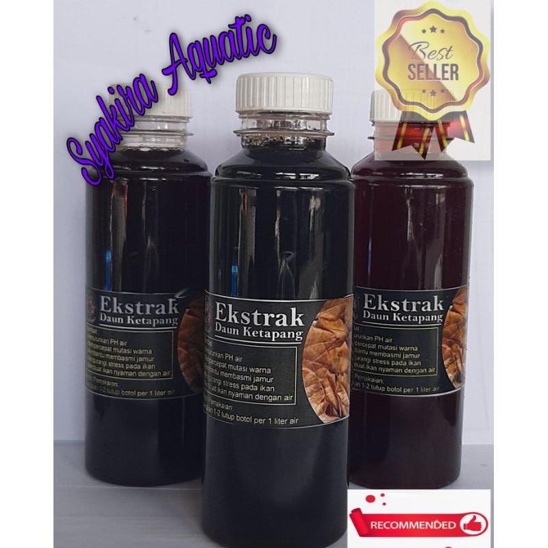 EKSTRAK DAUN KETAPANG