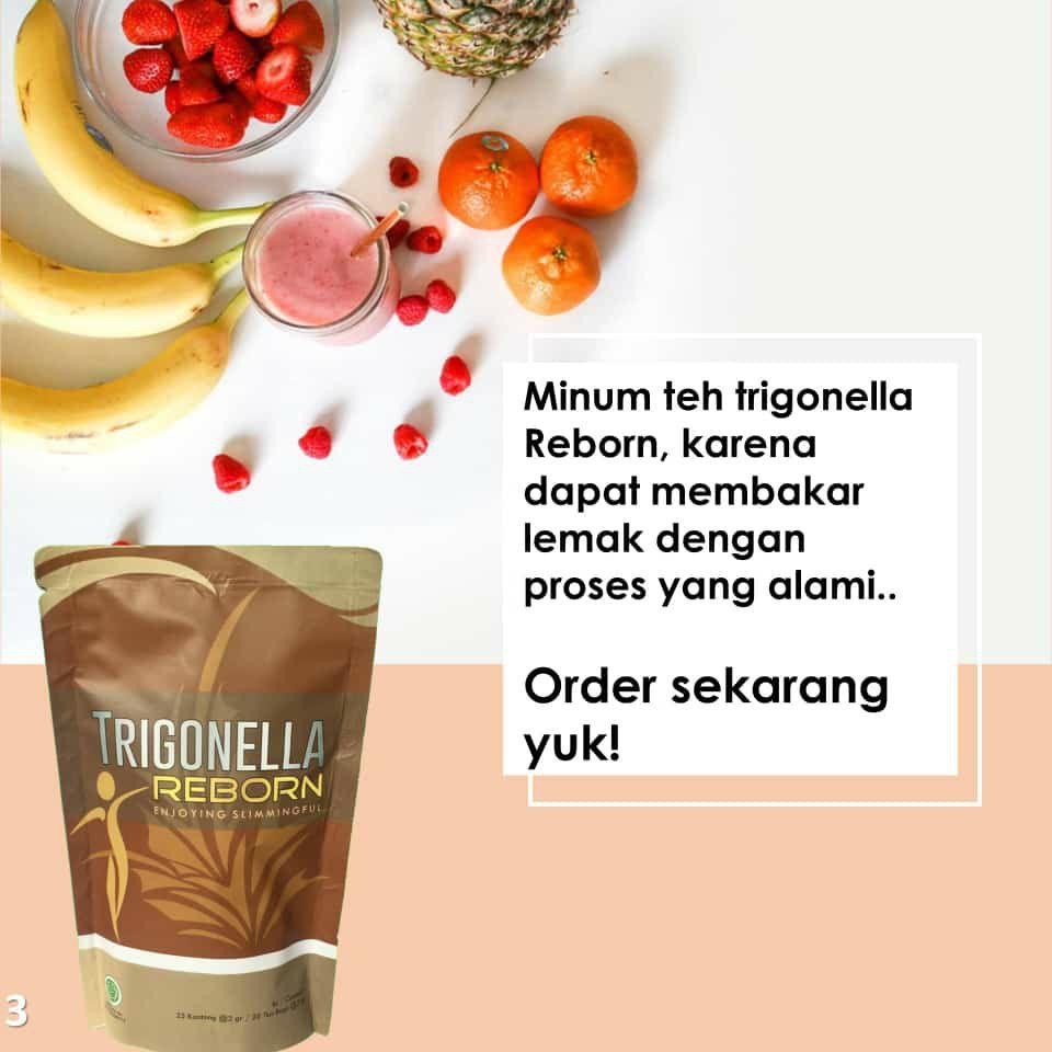 TEH TRIGONELLA REBORN untuk Melangsingkan tubuh
