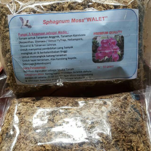 Sphagnum Moss "WALET" Media Tanam Anggrek