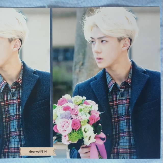 EXO SEHUN MID Official Postcard