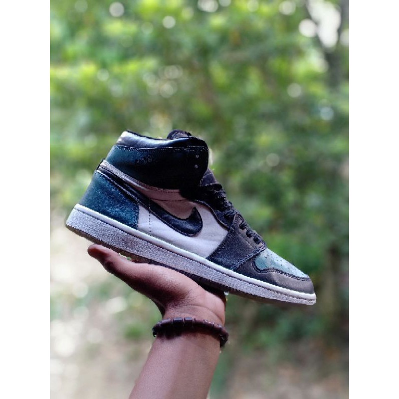 Nike Air Jordan 1 Retro Chameleon