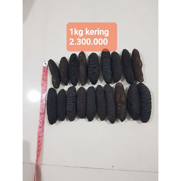 

teripang laut grade ekspor asli ambon 100gr