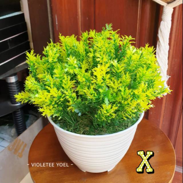 Pot Tawon dan Daun kode X dan Y Artificial