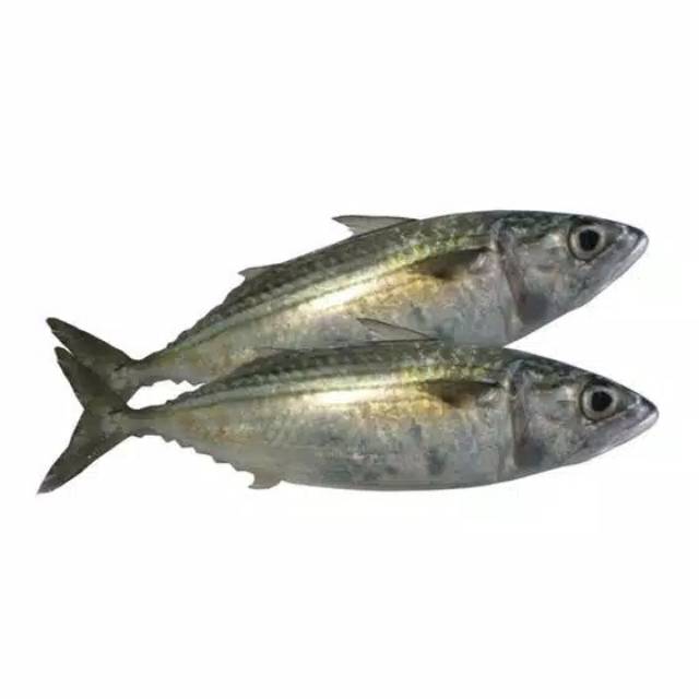 

KangSayur - Ikan Segar KEMBUNG BANJAR Kiloan Fresh (BUKAN FROZEN)