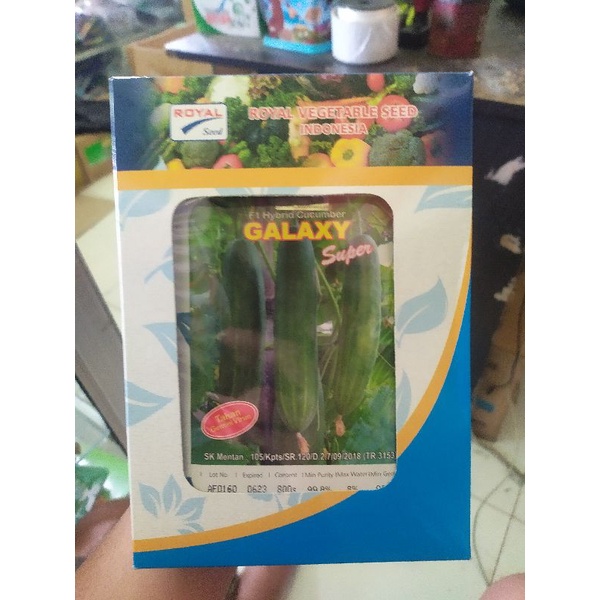 Benih timun GALAXY F1 - 800 butir