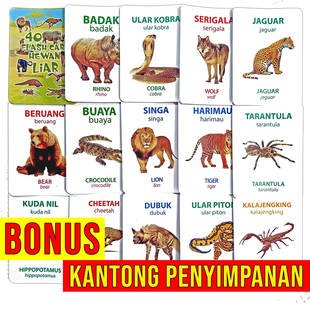 Flash Card Binatang Liar 40 kartu