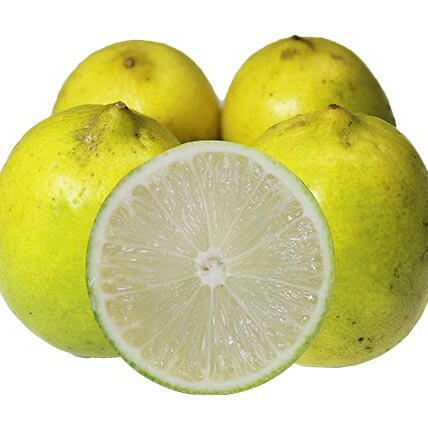 

buah lemon lokal jeruk lemon 500gr