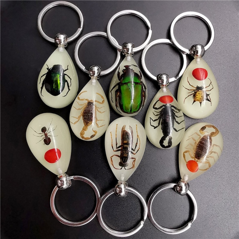 Siy Luminous Amber Insect Keychain Black Scorpion Resin Untuk Gantungan Kunci Glow in the Dark Liontin Dengan Sample Serangga Di Dalam