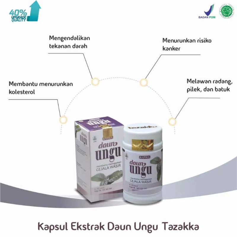 DAUN UNGU Obat Wasir Ampuh Hemoroid Herbal Ambeien 60 Kapsul Alami