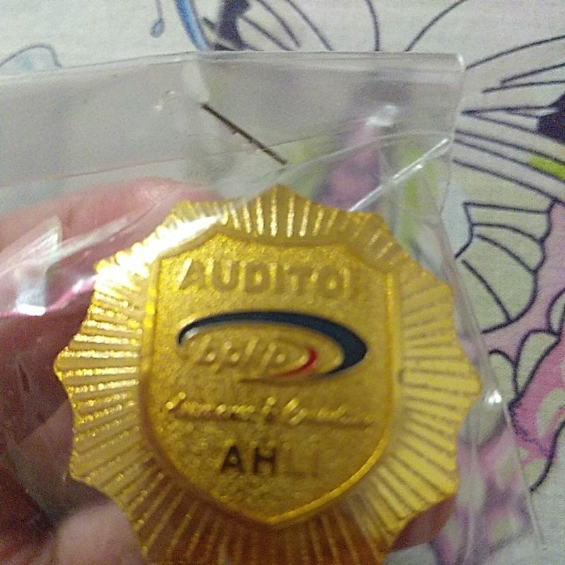 pin auditor bpkp