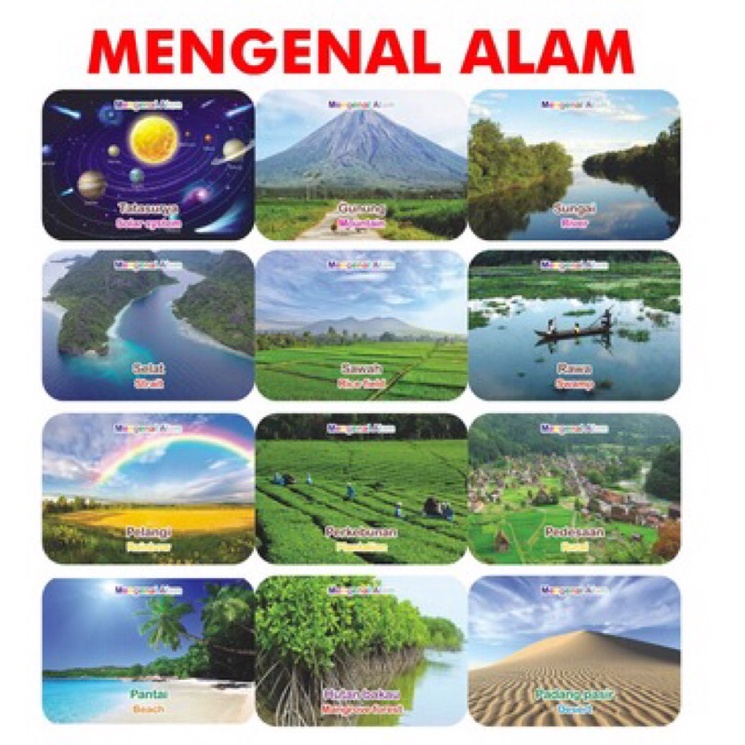 

flahcard mengenalalam