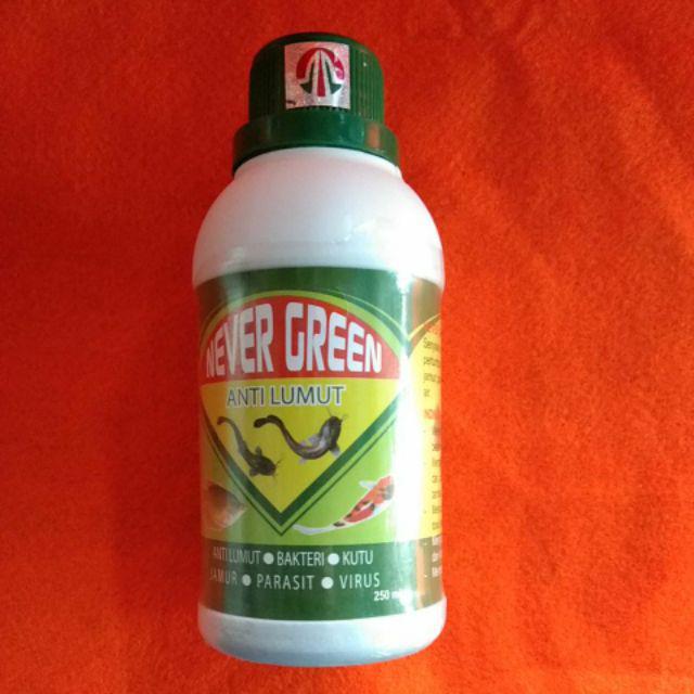 never green anti lumut multi fungsi Shopee Indonesia