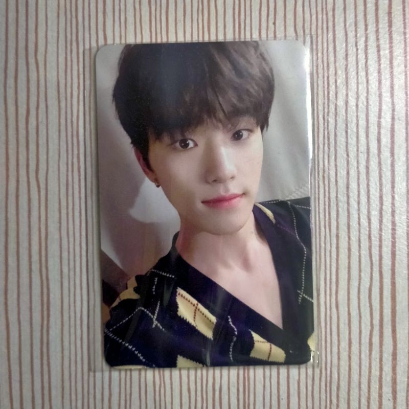 Photocard SEVENTEEN DINO