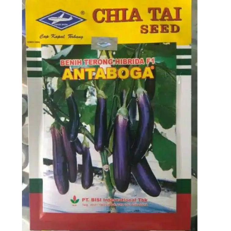 Benih Bibit Terong Ungu Antaboga 10gr Art V723 Shopee Indonesia