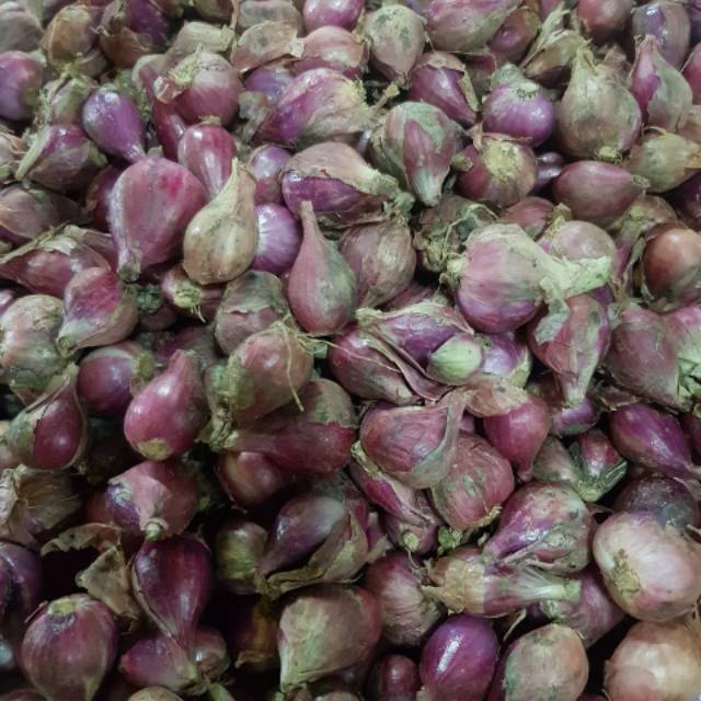 

Bawang Merah