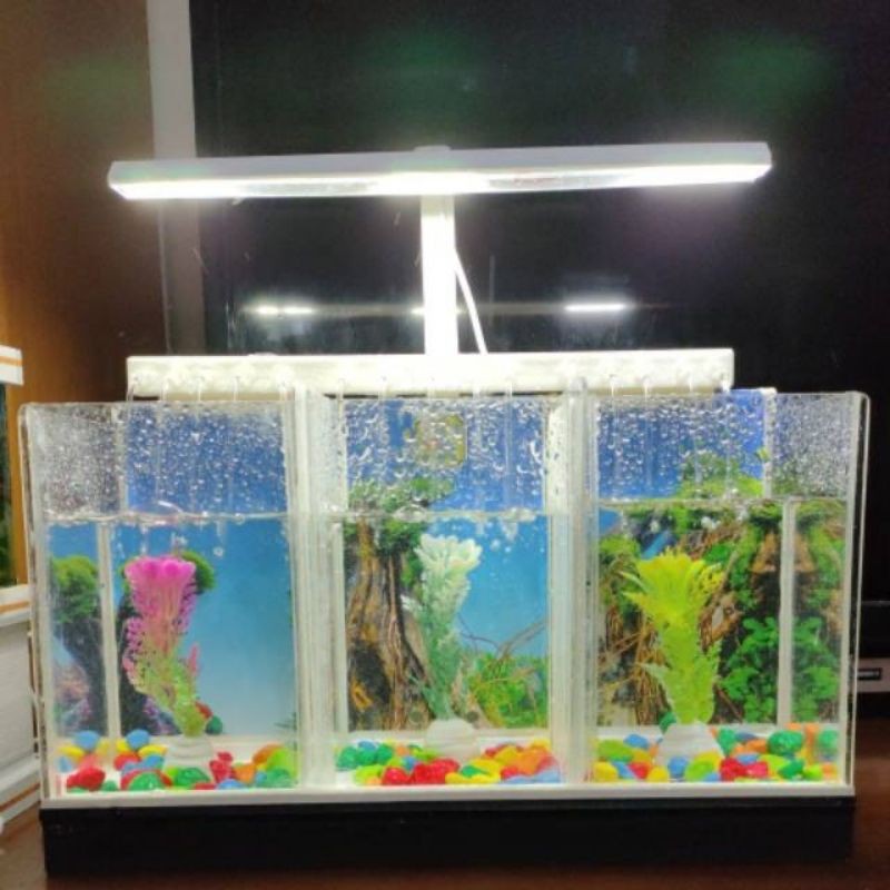 Aquarium Mini Akrilik Dobel Skat/Rak Pipa PVC Air Mancur / Aquarium Ikan Cupang Rak 3 Tank Aquascape