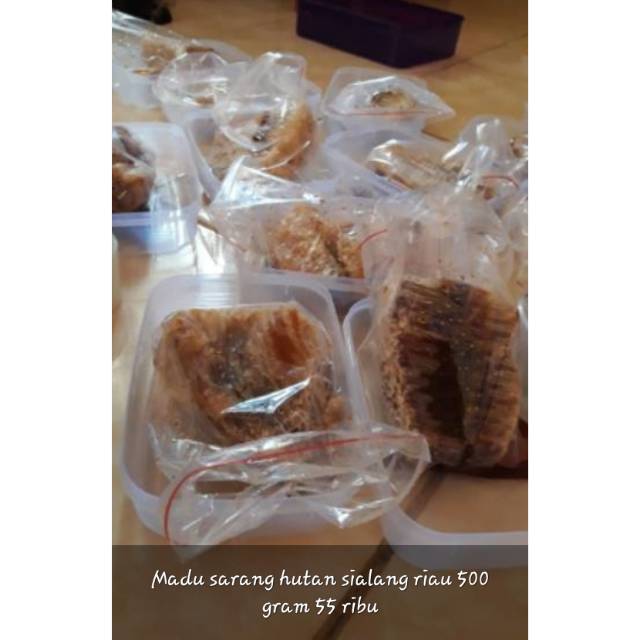 

Madu sarang sialang RIAU