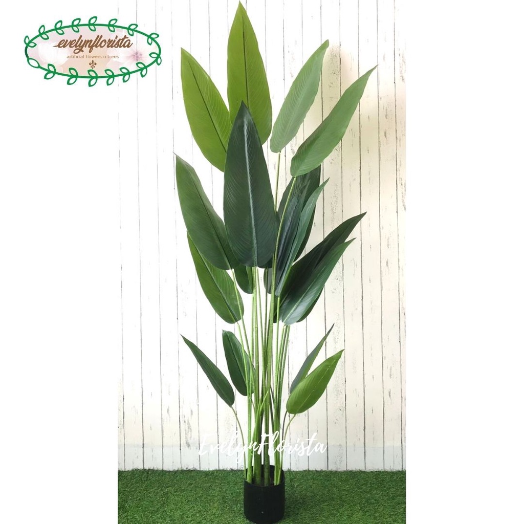 Pohon Hias Daun Pisangan Heliconia T180 Latex Tanaman Pajangan Dekorasi Ruangan Bird of Paradise