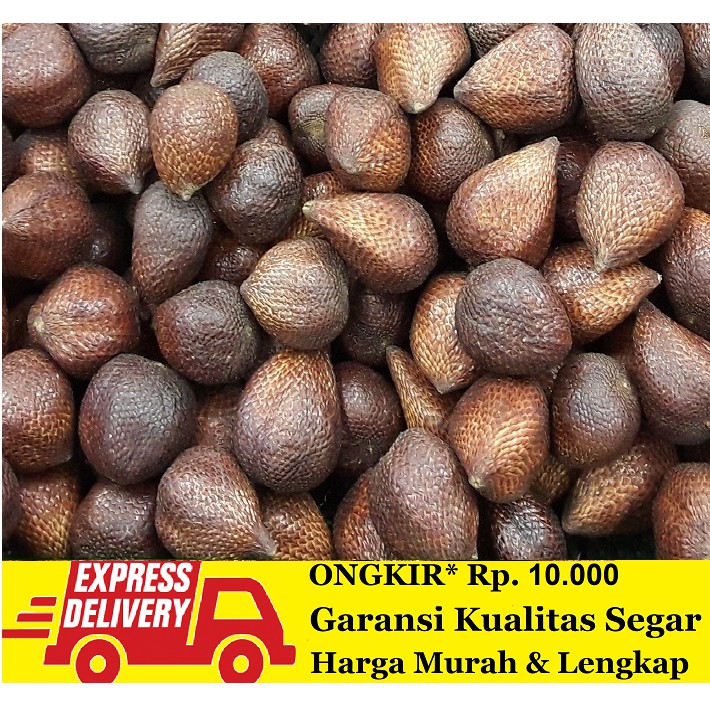 

Salak Pondoh Fresh 1 kg