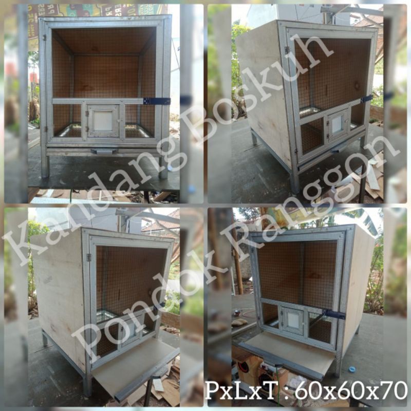 Kandang Burung Merpati 1 Pintu Ukuran 60x60x70 cm Bahan Besi Hollow Galvalum