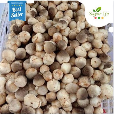 

Jamur Merang 240 - 250 Gram Fresh Straw Mushroom Sayur Hijau Segar