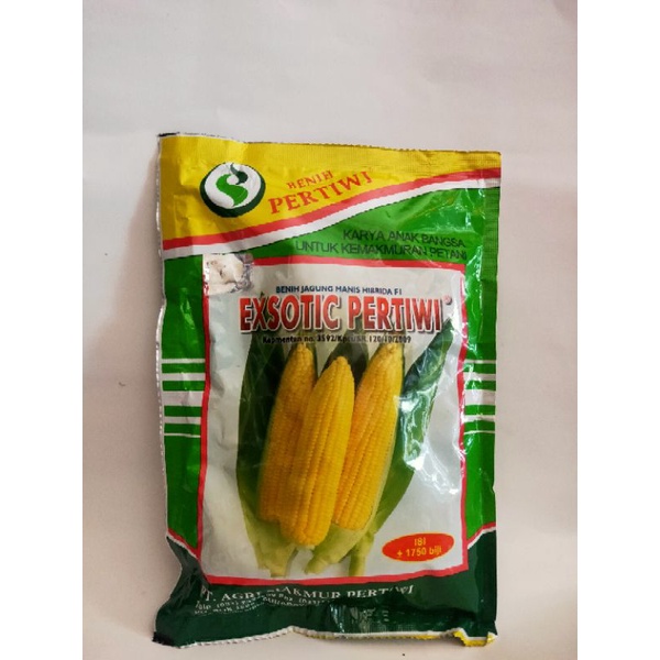 Benih Jagung Manis Hibrida EXOTIC PERTIWI isi -+1750 biji