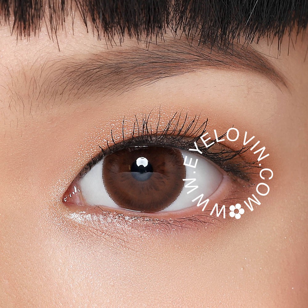 Eyelovin x Patricia Stephanie Softlens Neo Cosmo - Sage Brown Black N013