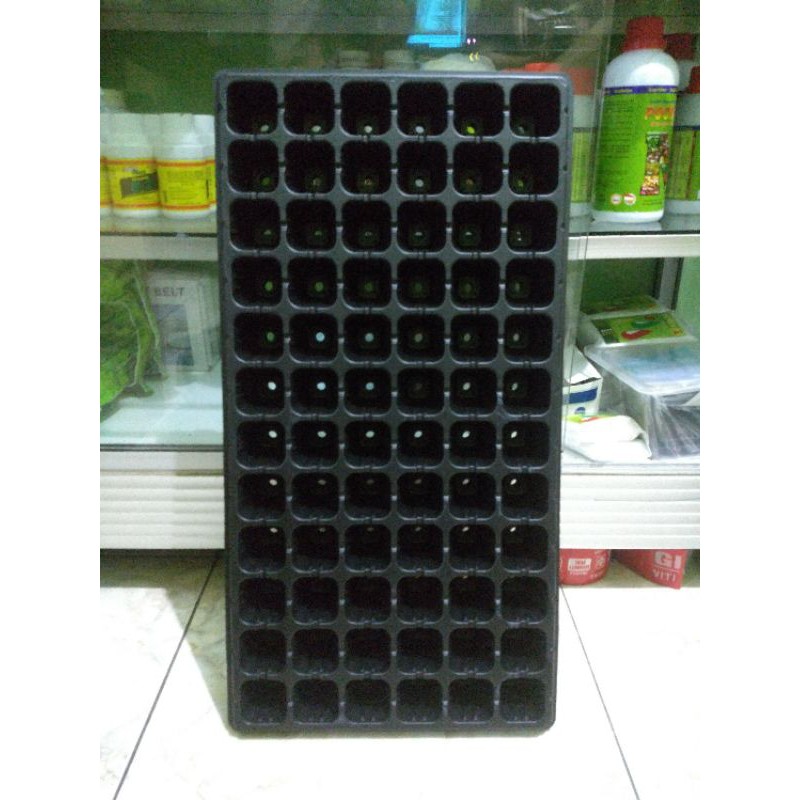 Tray pot semai  72 lubang semay bibit / benih