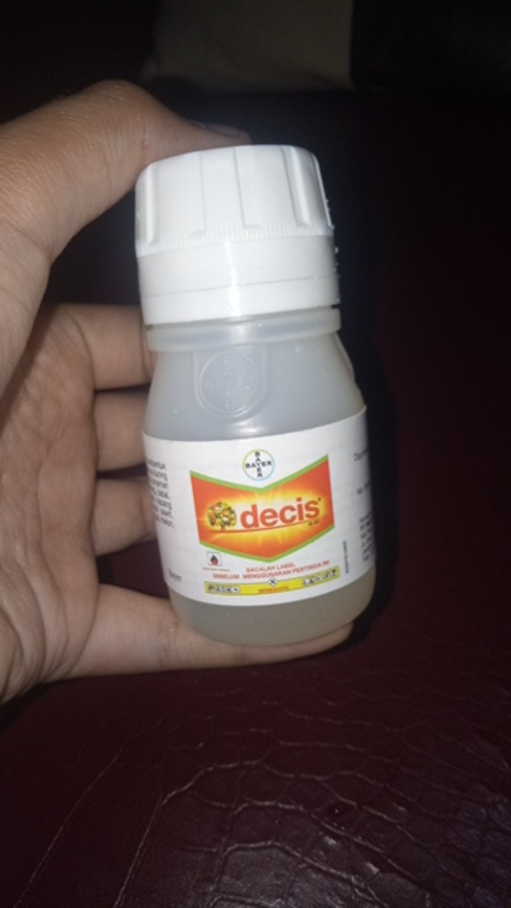 Decis Insektisida Obat Anti Hama Serangga Insectisida Cair