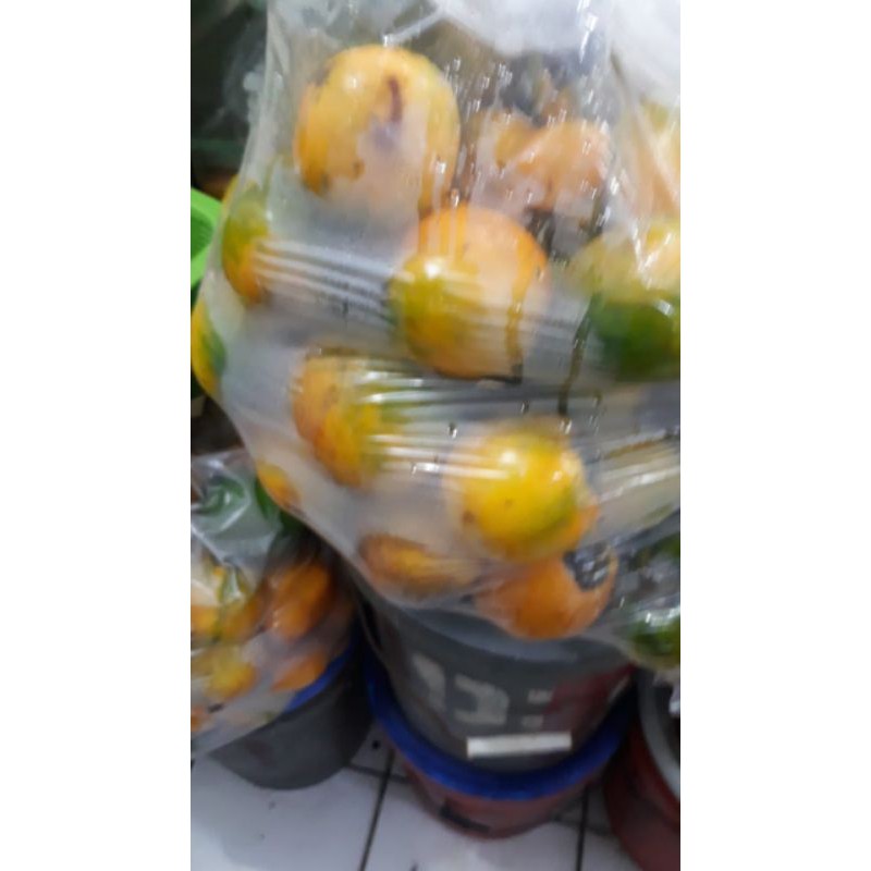 

TERONG ASAM KALIMANTAN / TERONG DAYAK