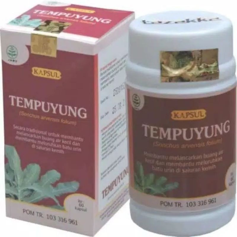 

Obat herbal batu Ginjal kapsul tempuyung