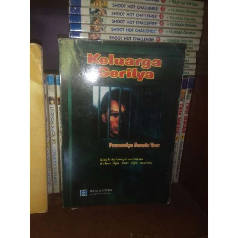 keluarga gerilya - pramoedya ananta noer